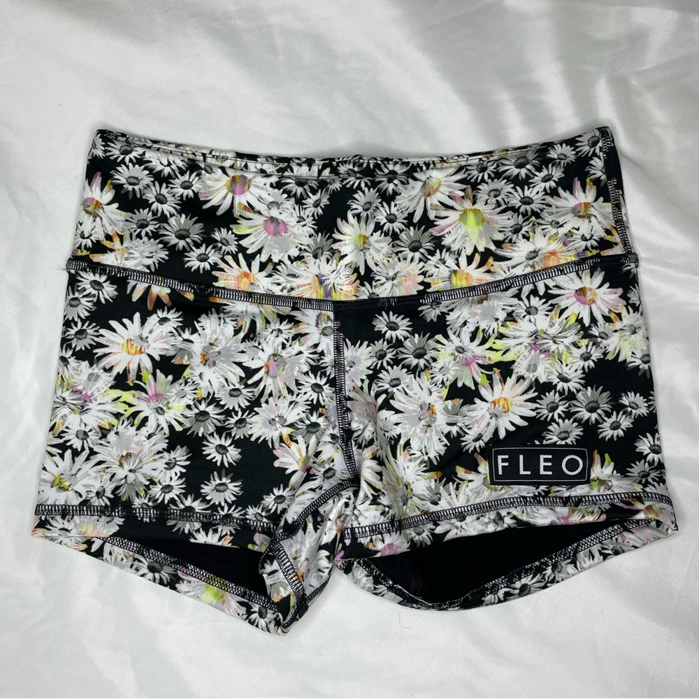 A 3.25 Daisy FLEO